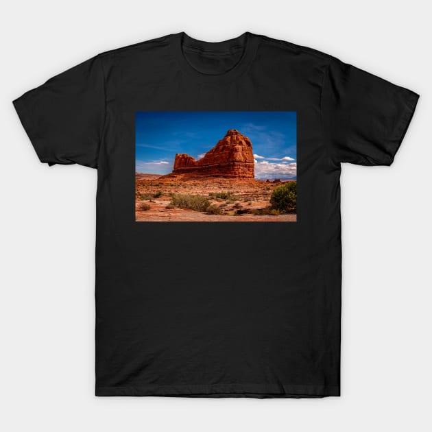 Rock Formation in Arches T-Shirt by Ckauzmann